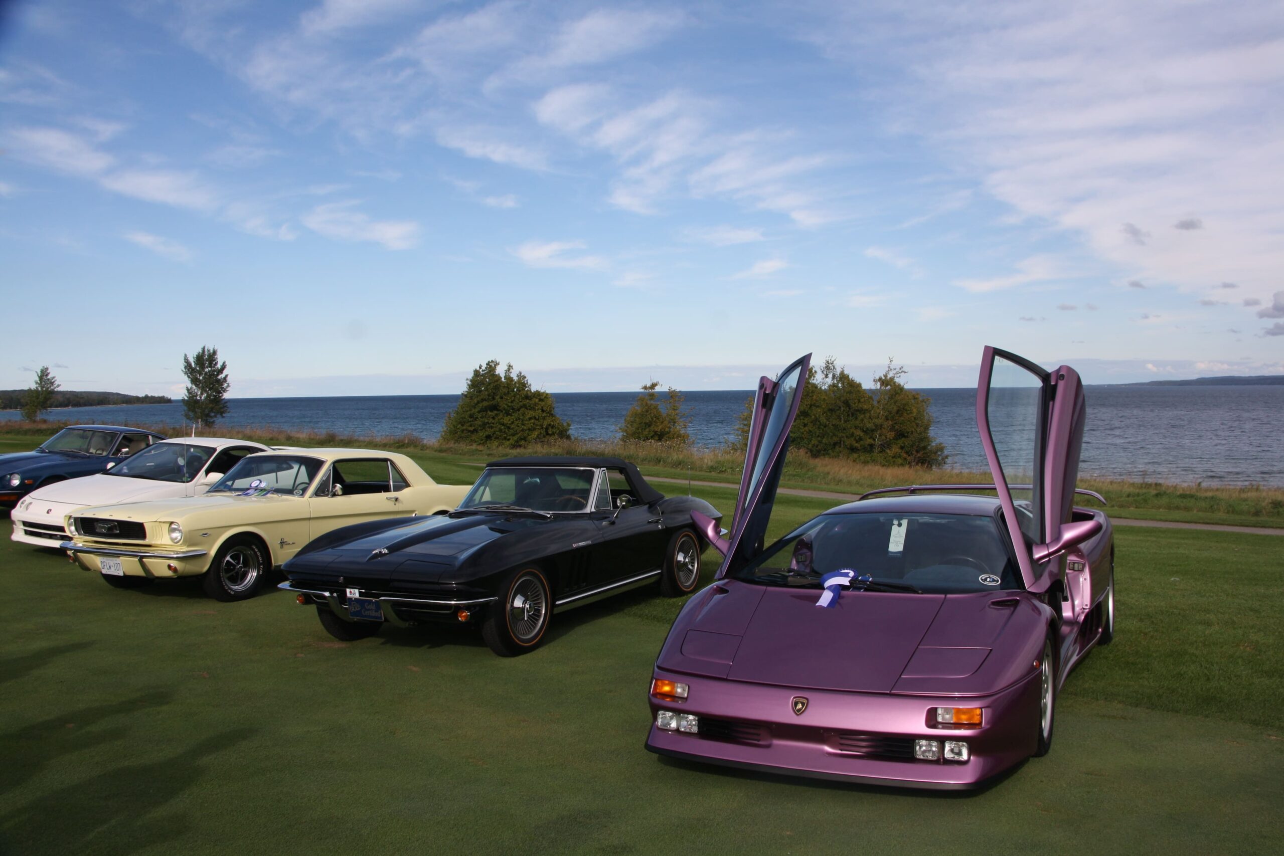 winning cars